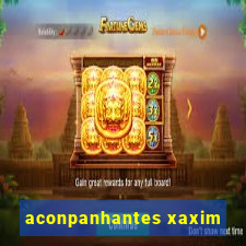 aconpanhantes xaxim